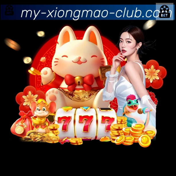 未来规划